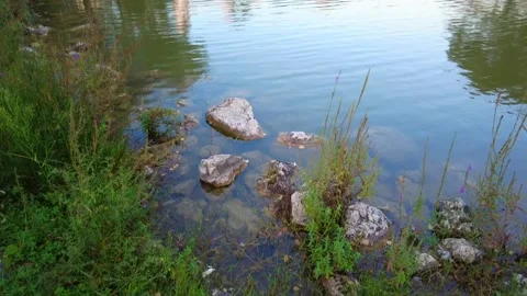 Artificial lake park and behind buildings Stock Footage 289161009