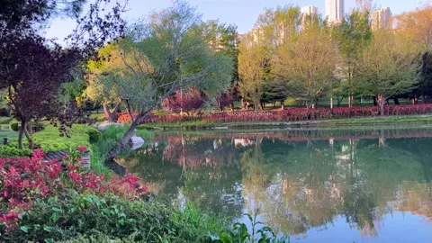 Artificial lake park view Stock Footage 309691371