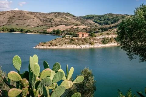 Artificial lake Foto stock