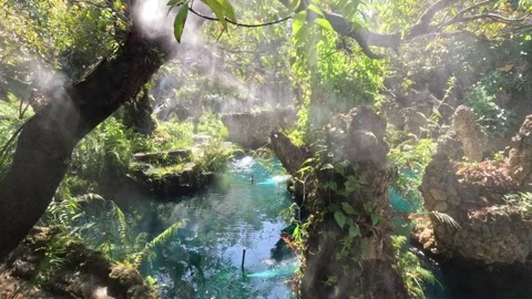 Artificial lake with unique plants and irrigation in northern Thailand park Video stock 339889022