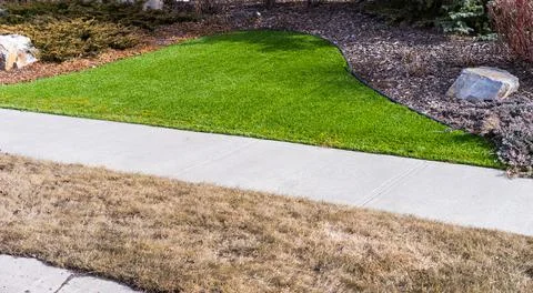 Artificial lawn vs natural Stock Photos