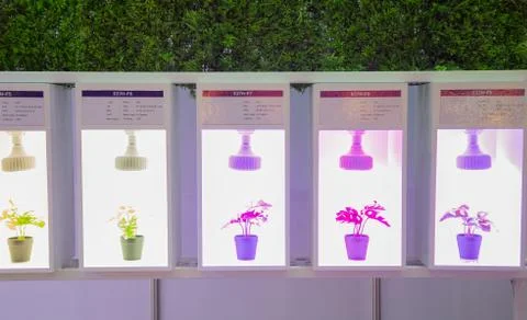 Artificial LED lighting Foto stock