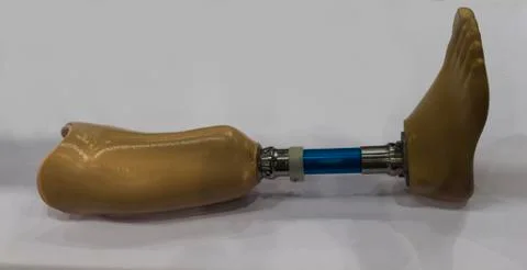 Artificial leg on white background Stock Photos