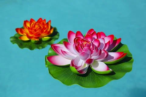 Artificial lotus Stock Photos