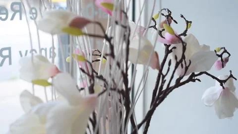 Artificial Magnolia tree Stock Footage 138481725