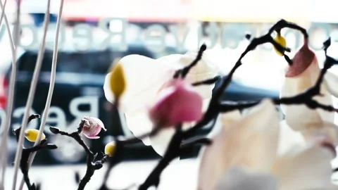 Artificial Magnolia tree Stock Footage 138481732