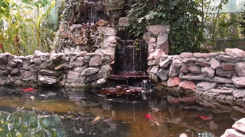 Artificial man made waterfall waterscape with koi fish in pond Stock Footage 164301858
