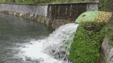 Artificial Mexican font. Stock Footage 248001631