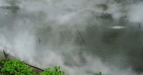 Artificial Mist Over Pond with White Herons in Japanese Garden Stock Footage 333418753