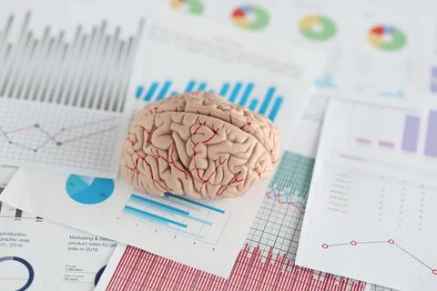 Artificial model of human brain lying on documents with graphs closeup Foto stock