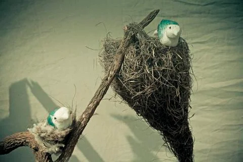 Artificial nest with bird Stock Photos