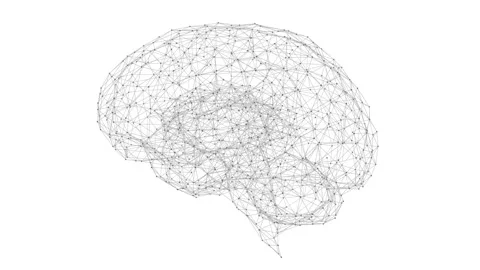 Artificial Neural Network Development: Brain in Plexus Style Stock Footage 291592881