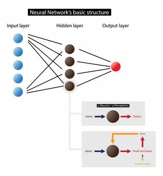Artificial neural network, neural network has at least two physical components Stock Illustration