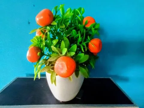 Artificial Orange Tree Stock Photos