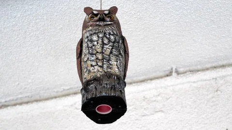 Artificial owl status used to discourage pests and birds from nesting Stock Footage 93427368