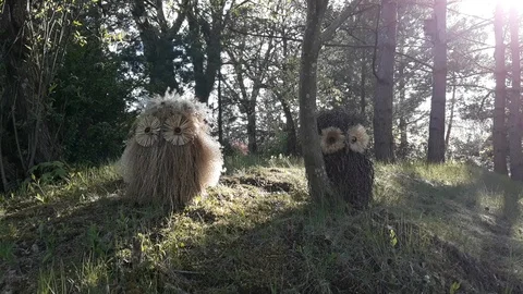 Artificial owls in the forest - 16 動画素材 107707652