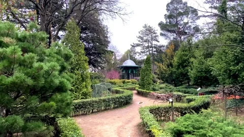 Artificial park area for walking among the greenery. Stock Footage 238033561
