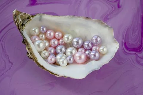 Artificial pearls inside the oyster shell. Different colors and size of pearl Stock Photos