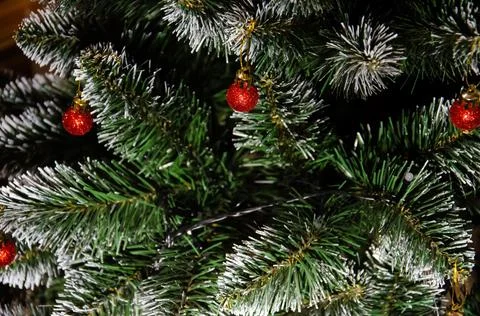 Artificial pine branches in the snow with red Christmas tree ball ornaments. Stock Photos