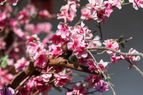 Artificial pink blossoms on branches Stock Photos