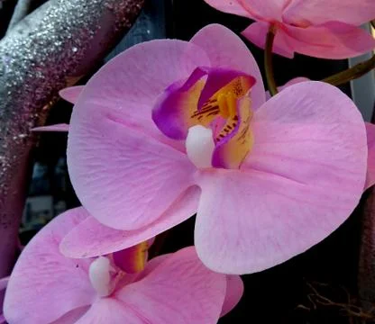 Artificial Pink Flowers Stock Photos