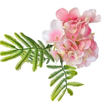 Artificial Pink Hydrangea Flower with Green Fern Leaves Isolated Stock-Fotos