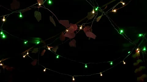 Artificial pink leaf vine interwoven with trails of green and warm white LED fai Stock Footage 345971842