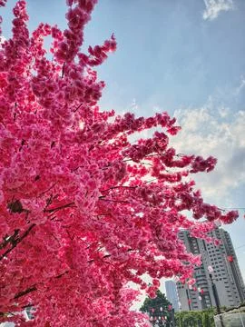 Artificial pink sakura tree with modern city building background Stock Photos