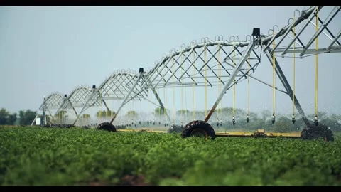 Artificial pivot irrigating system circle move through the field Stock Footage 162480503