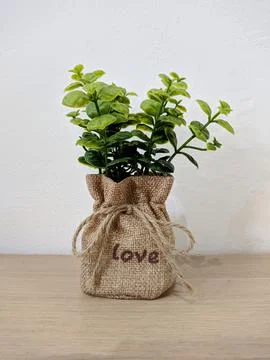 Artificial plant 写真素材
