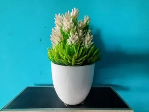 Artificial Plant Pot Stock Photos