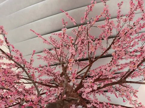 Artificial plant of sakura Stock Photos