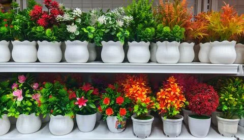 Artificial Plant Shelf Display 写真素材