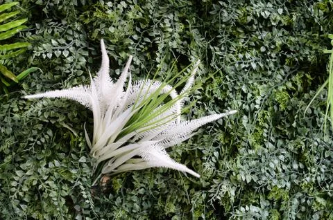 Artificial plants as a backdrop Foto stock