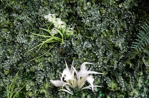 Artificial plants as a backdrop Stock Photos