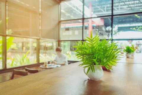 Artificial plants or plastic tree on table for decoration and welcome for cus Foto stock