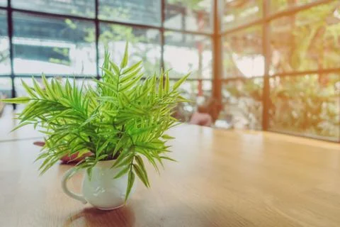 Artificial plants or plastic tree on table for decoration and welcome for cus Stock Photos