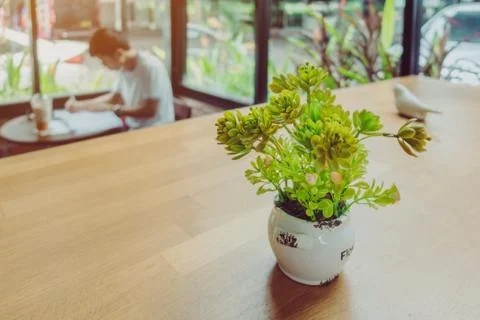 Artificial plants or plastic tree on table for decoration and welcome for cus Stock Photos