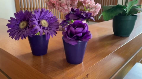 Artificial Plants Plastic Stock Footage 231368683