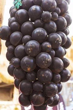 Artificial plastic berries of clusters of black grapes close -up Stock Photos