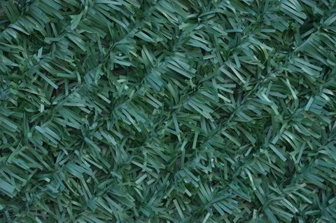 Artificial plastic grass (garden wall, fence) pattern in a cold dark green color Foto stock