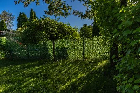 Artificial plastic panels imitating ivy leaves mounted on the fence between.. Stock Photos