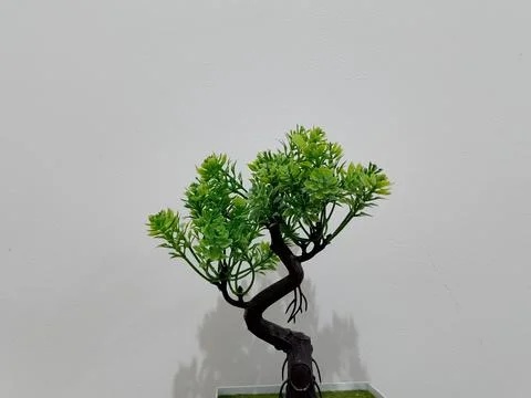 Artificial plastic plants, on a white wall background. Фото