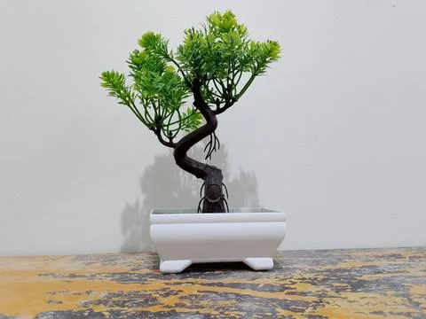 Artificial plastic plants, on a white wall background. Фото