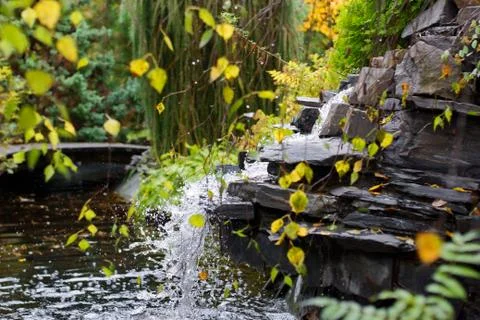 Artificial pond and waterfall in backyard garden Stock Photos