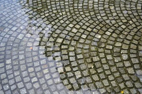 An artificial pond on the pavement Stock Photos