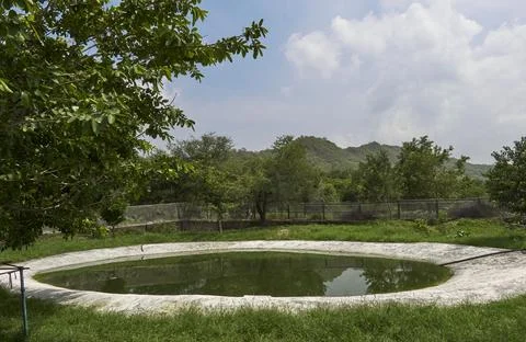 An artificial pond Stock Photos