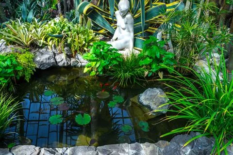 Artificial pond Stock Photos