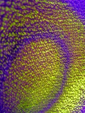 Artificial posterization of photos textures digitally blue green red white an Stock Photos