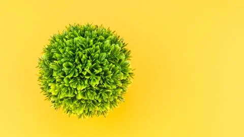 Artificial potted plants top view still life Stock Photos